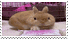 bunny stamp gif